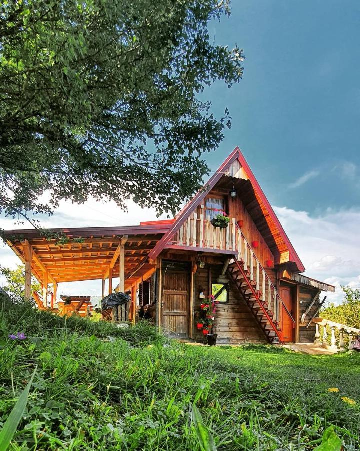 Log Cabin Uvac Nova Varoš Extérieur photo