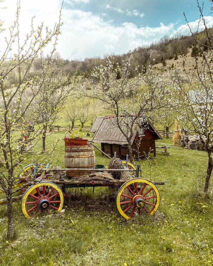 Log Cabin Uvac Nova Varoš Chambre photo