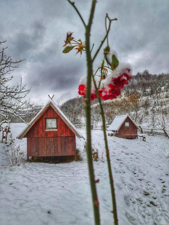 Log Cabin Uvac Nova Varoš Extérieur photo