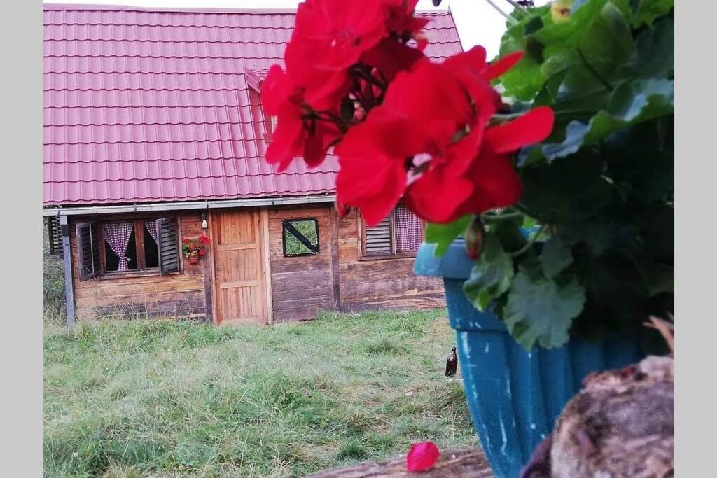 Log Cabin Uvac Nova Varoš Extérieur photo