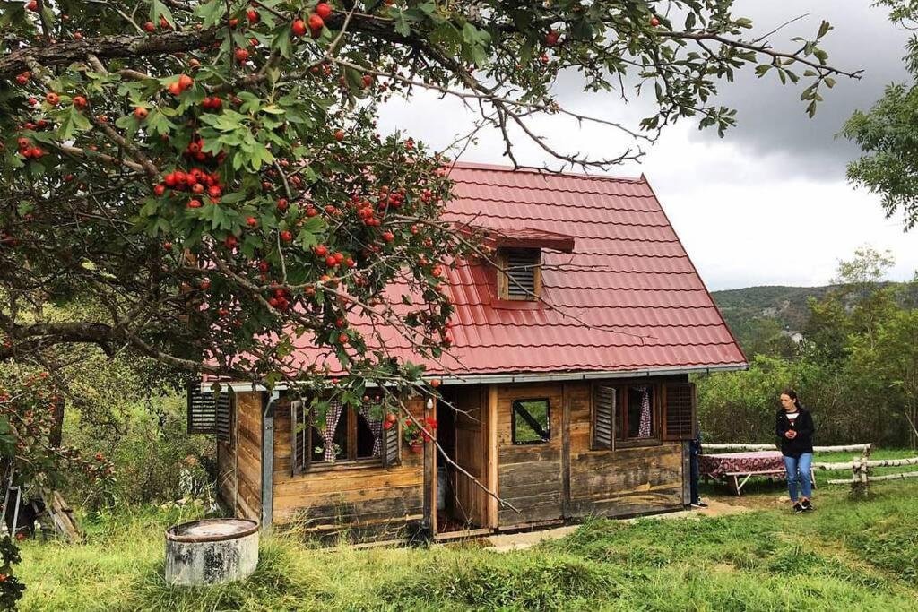 Log Cabin Uvac Nova Varoš Extérieur photo