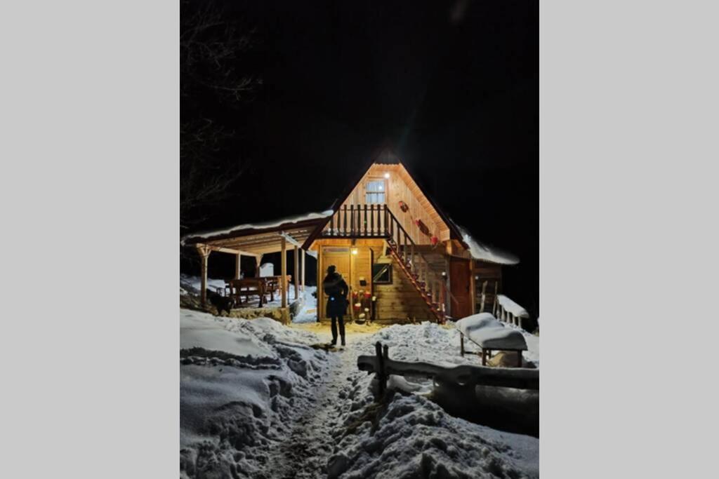 Log Cabin Uvac Nova Varoš Extérieur photo